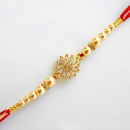 Do you Know Your USA Based Brother? Send a Rakhi as per his Personality!!