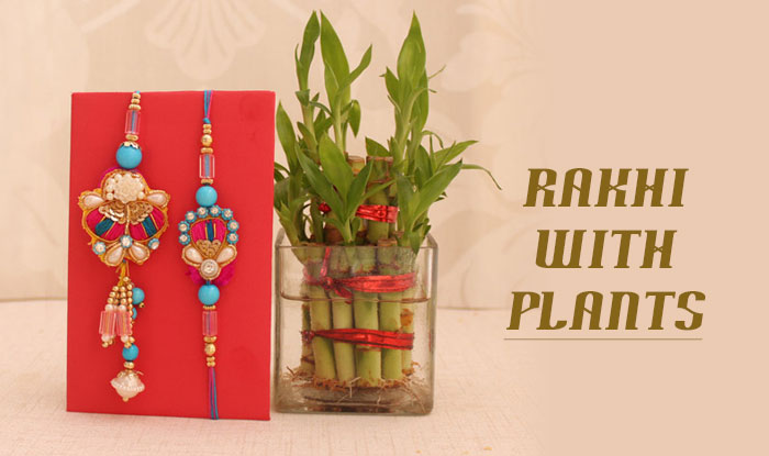 Rakhi with Plants: Gift Your Brother a Stress-Free Raksha Bandhan with Green Plants!!