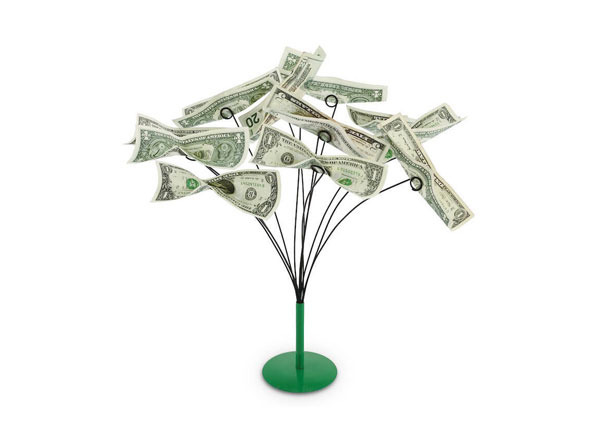 Money Tree Gift