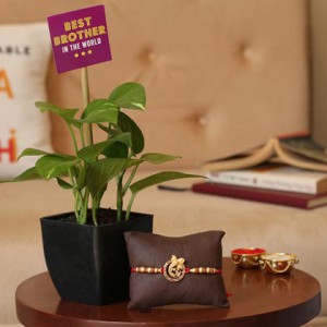 Money Plant with Silver Rakhi, Chocolates, and Ganesha