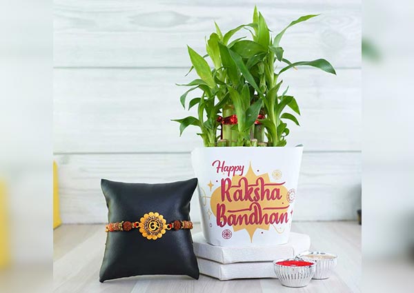Om rakhi with bamboo plant