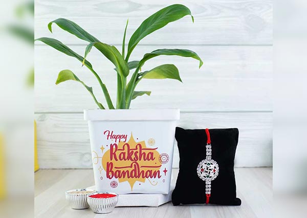 Peace lily with silver rakhi