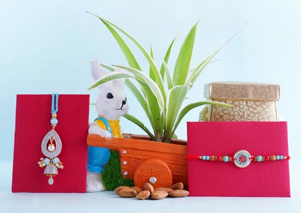 Spider plant with bhaiya bhabhi rakhi set