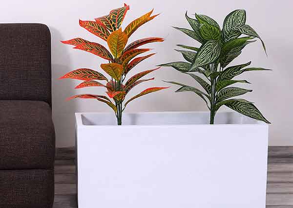 Plants with fiberglass potters