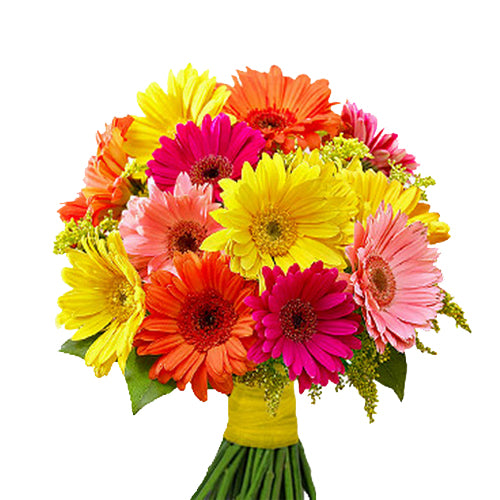 Multi Color Gerberas Bouquet