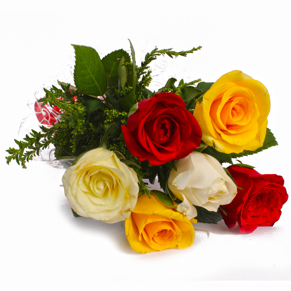 Rainbow Rose Delight Bouquet