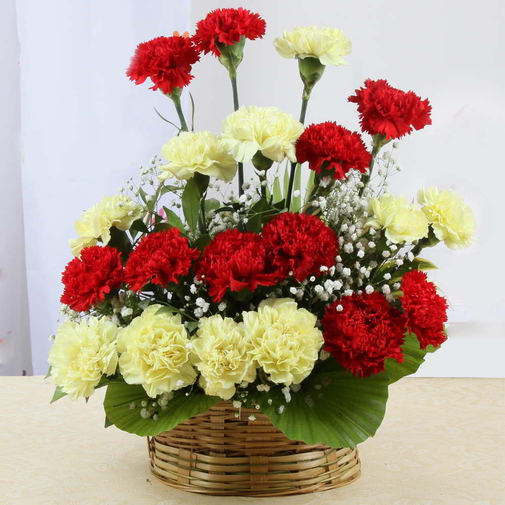 Refreshing Red and Yellow Carnation Basket