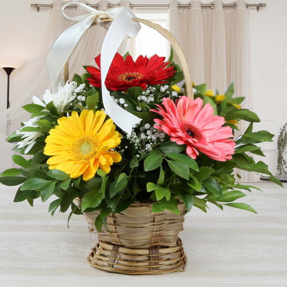 Mixed Color Gerberas  Arrangement