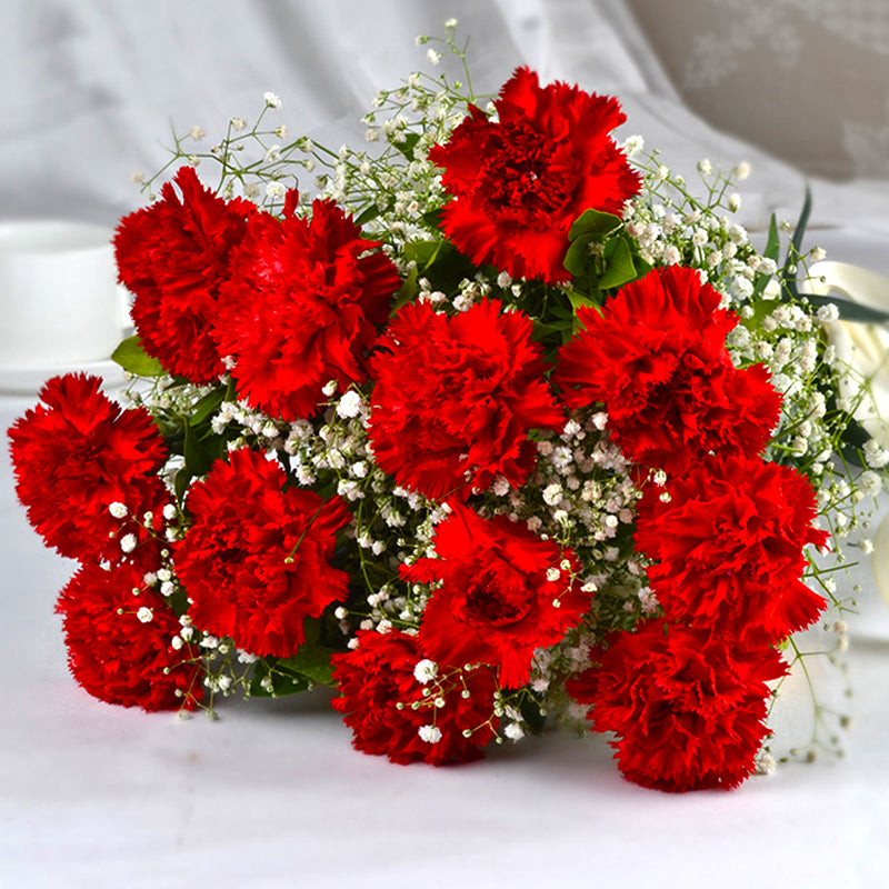 Red Carnation Freshness Bouquet