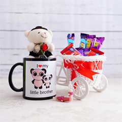 Panda Mug with Teddy and Chocolate Cycle Bhai Dooj Combo