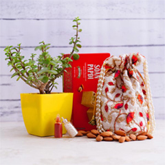 Jade Plant with Soan Papdi and Drufruits Potli