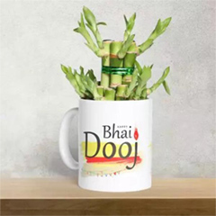 Bhai Dooj Mug with Bamboo Plant