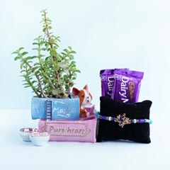 Peacock Rakhi N Jade Plant Combo