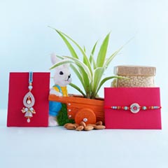 Bhaiya Bhabhi Rakhi N Spider Plant Combo