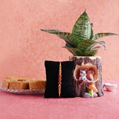 Rudraksha Rakhi with Haldiram Sattu Sweets N Snake Plant