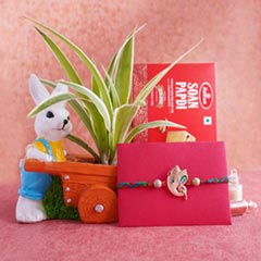 Ganesha Rakhi with Haldiram Soan Papdi N Spider Plant