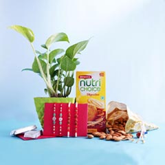 Four Rakhi Set with Dryfruits N Money Plant