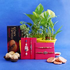 Two Designer Rakhis with Couple Rakhi N Plants Combo