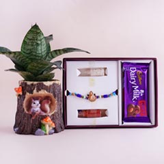 Ganesha Rakhi in Signature Box with Snake Plant