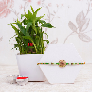 Pearl Rakhi with Lucky Plant for Brother