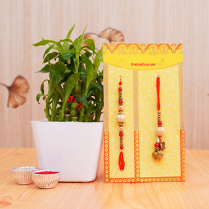 Attractive Bhaiya Bhabhi Rakhis with a Lucky Plant Combo