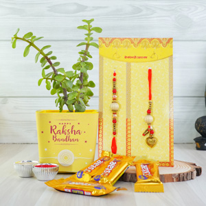 Bhaiya Bhabhi Rakhi with Potted Jade Plant Combo