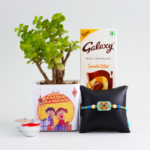 Jade Plant N Pearl Rakhi with Chocolate Combo