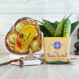 Spiritual Krishna Rakhi with Snake Plant N Felicci Chocolate