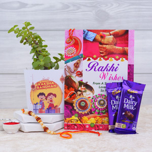 Pearl Rakhi Chocolate N Greeting Card Combo