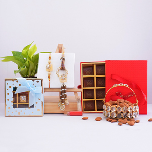 Bhaiya Bhabhi Rakhi with Money Plant Gift Pack