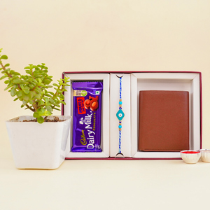 Blue Good Luck Rakhi with Plant Combo
