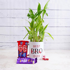Mug with Lucky Bamboo and Chocolates Bhai Dooj Combo