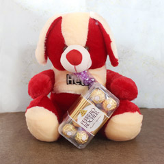 Cuteddy with Yummy Delight - Rakhi Gifts for Sister