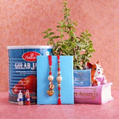Bhaiya Bhabhi Rakhi with Haldiram Gulab Jamun N Jade Plant - Lumba Rakhi Online