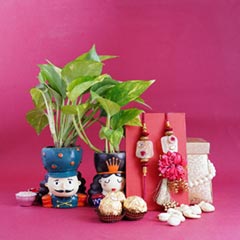 Bhaiya Bhabhi Rakhi Set with Money Plants - Rakhi Gift Ideas
