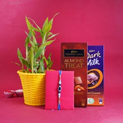 Evil Eye Rakhi with Chocolates N Lucky Bamboo Plant - Rakhi with Chocolates