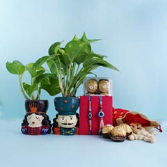 Evil Eye Bhaiya Bhabhi Rakhi with Money Plant - Rakhi with Plants