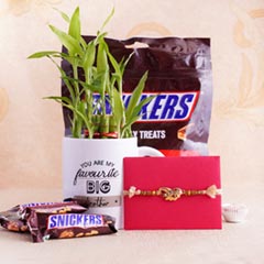 Designer Rakhi with Snicker N Lucky Bamboo Plant in Mug - Rakhi Gift Ideas