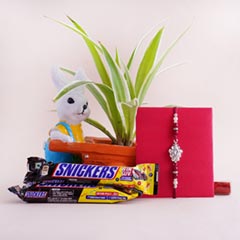 Stone Rakhi with Snickers N Spider Plant - Silver Rakhi Online