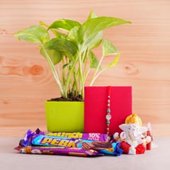Money Plant with Silver Rakhi Chocolates N Ganesha - Rakhi Gift Ideas