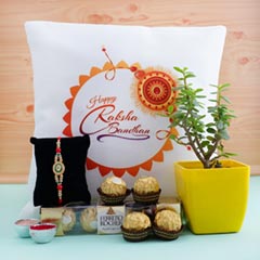 Jade Plant with Silver Rakhi N Rakshabandhan Cushion - Rakhi with Cushion