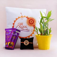 Lucky Bamboo Plant with Bro Rakhi N Rakshabandhan Cushion - Rakhi Gift Ideas