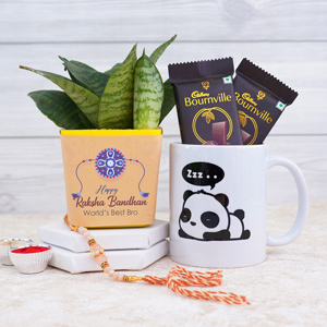 Designer Brother Rakhi with Mug N Snake Plant - Rakhi with Plants