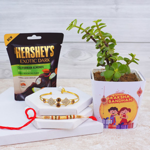 Designer Bhaiya Bhabhi Rakhis with Jade Plant N Chocolates - Rakhi with Plants