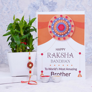 Pearl Rakhi with Plant N Card - Rakhi With Cards