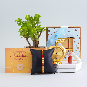 Pearl Rakhi with Potted Jade Plant N Clock - Rakhi with Plants