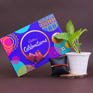 Rudraksha Rakhi with Money Plant Combo - Rakhi with Plants