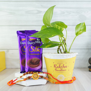 Auspicious Rakhis with Money Plant Combo - Rakhi with Plants