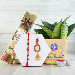 Snake Plant with Bhaiya Bhabhi Rakhi Combo - Rakhi with Plants