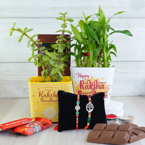 Set of Two Silver Rakhis with Plants N Chocolates - Rakhi with Plants